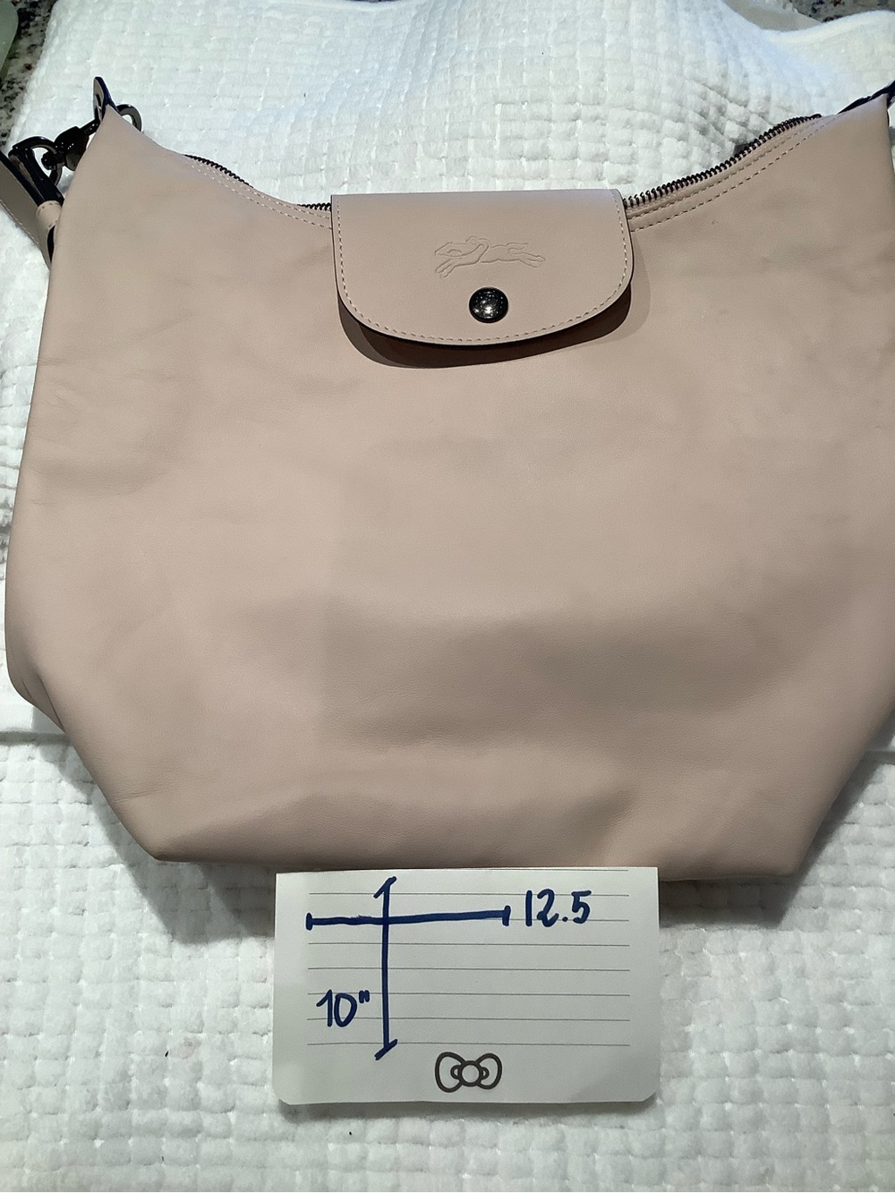 Longchamp Blush Pink Shoulder Bag